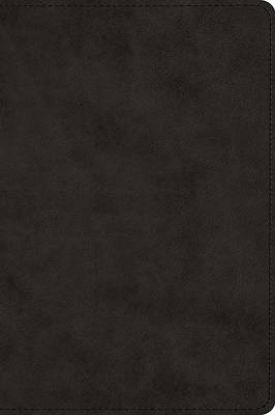 Picture of ESV Wide Margin Reference Bible, Red Letter (Trutone, Black)