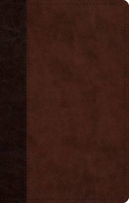 Picture of ESV Large Print Thinline Reference Bible (Trutone, Brown/Walnut, Timeless Design)