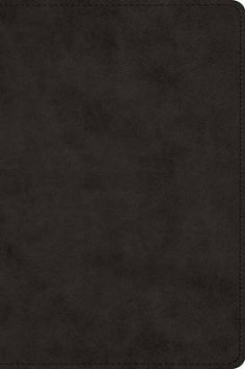 Picture of ESV Large Print Bible (Trutone, Black)