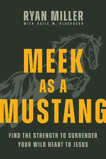 Picture of Meek as a Mustang