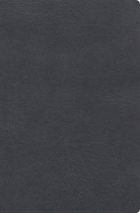 Picture of Rvr 1960 Biblia de Estudio Letra Gigante, Gris, Símil Piel Con Índice