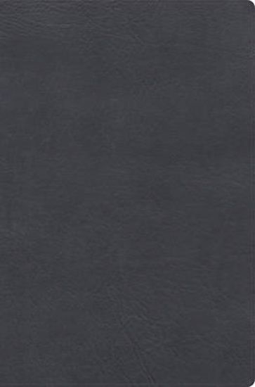 Picture of Rvr 1960 Biblia de Estudio Letra Gigante, Gris, Símil Piel Con Índice
