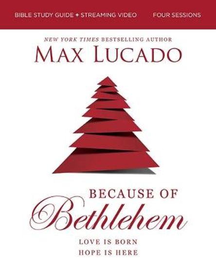Picture of Because of Bethlehem Bible Study Guide + Streaming Video, Updated Edition
