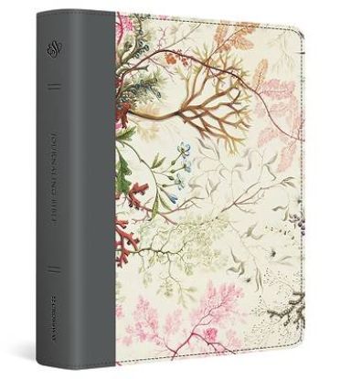 Picture of ESV Journaling Bible (Printed Trutone, Elegant Grace Design)
