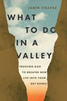 Picture of What to Do in a Valley