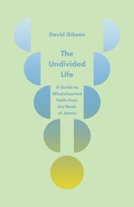 Picture of The Undivided Life