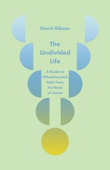 Picture of The Undivided Life
