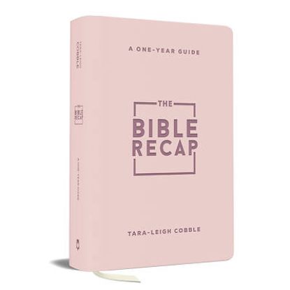 Picture of The Bible Recap