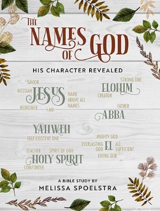 Picture of The Names of God Women's Bible Study Participant Workbook