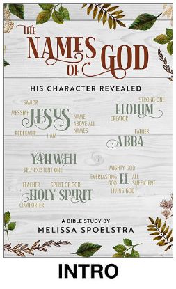 Picture of The Names of God Women's Bible Study Session Video