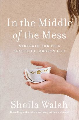 Picture of In the Middle of the Mess