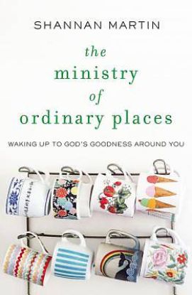 Picture of The Ministry of Ordinary Places