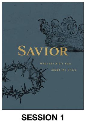 Picture of Savior Session Video