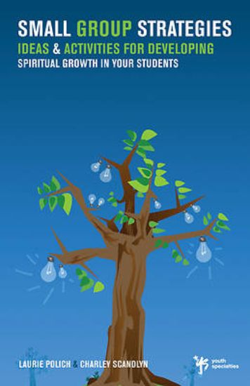 Picture of Small Group Strategies - eBook [ePub]