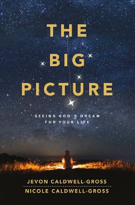 Picture of The Big Picture