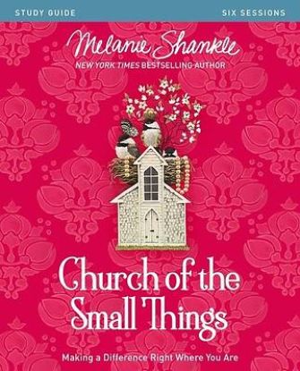 Picture of Church of the Small Things Study Guide - eBook [ePub]