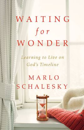 Picture of Waiting for Wonder