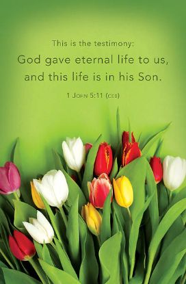 Picture of WordAlive Weekly Bulletin without Message-Week 19, Regular Size (Package of 25)