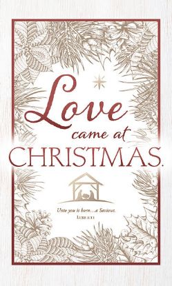 Picture of Love Came at Christmas Banner 3 x 5 Vinyl