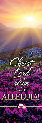 Picture of Christ the Lord is Risen Today Banner 2 x 6 Vinyl