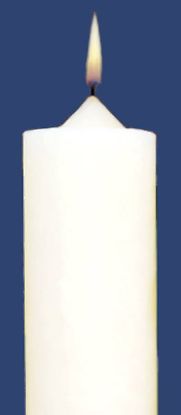 Picture of Stearic Altar Candles Emkay 12 x 1 1/2 Pack of 12 Plain End