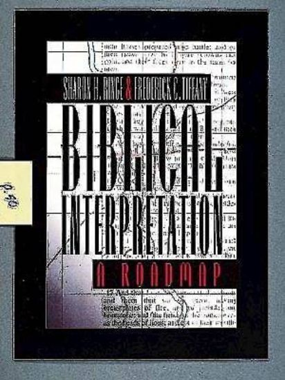 Picture of Biblical Interpretation