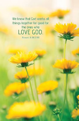 Picture of Word Alive! Weekly Bulletin without Message-Week 30, Legal Size (Package of 25)