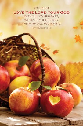 Picture of Word Alive! Weekly Bulletin without Message-Week 43, Letter Size (Package of 25)