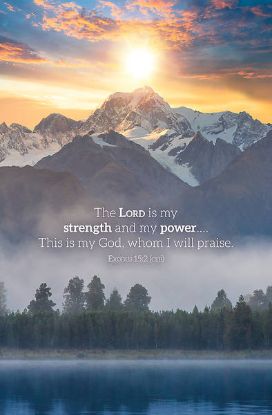 Picture of Word Alive! Weekly Bulletin without Message-Week 37, Letter Size (Package of 25)