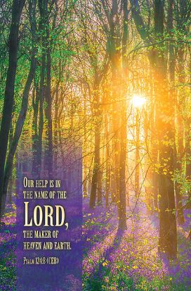 Picture of Word Alive! Weekly Bulletin with Message-Week 34, Letter Size (Package of 25)
