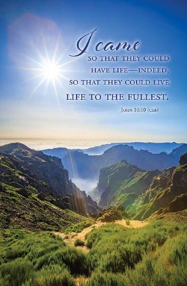 Picture of Word Alive! Weekly Bulletin without Message-Week 17, Letter Size (Package of 25)