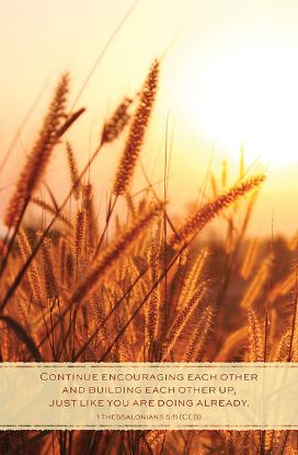 Picture of Word Alive! Weekly Bulletin without Message-Week 45, Letter Size (Package of 25)