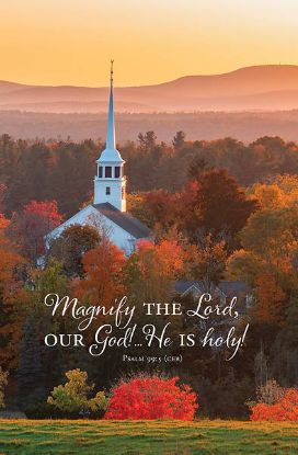 Picture of Word Alive! Weekly Bulletin without Message-Week 42, Letter Size (Package of 25)