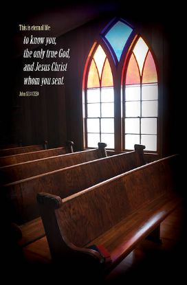 Picture of Word Alive! Weekly Bulletin with Message-Week 20, Letter Size (Package of 25)