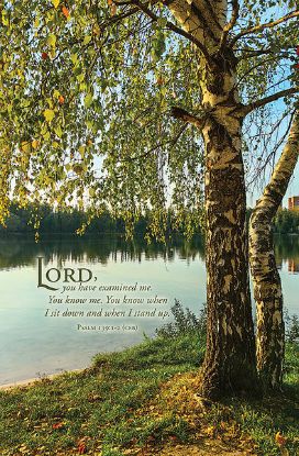 Picture of Word Alive! Weekly Bulletin with Message-Week 29, Letter Size (Package of 25)