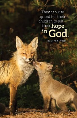 Picture of Word Alive! Weekly Bulletin without Message-Week 46, Letter Size (Package of 25)