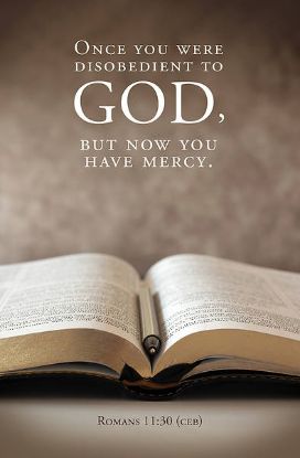 Picture of Word Alive! Weekly Bulletin without Message-Week 33, Letter Size (Package of 25)