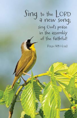 Picture of Word Alive! Weekly Bulletin with Message-Week 36, Letter Size (Package of 25)