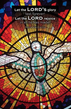 Picture of Word Alive! Weekly Bulletin without Message-Week 21, Letter Size (Package of 25)
