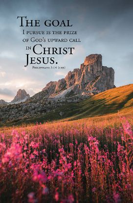 Picture of Word Alive! Weekly Bulletin with Message-Week 40, Letter Size (Package of 25)