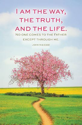 Picture of Word Alive! Weekly Bulletin without Message-Week 18, Letter Size (Package of 25)
