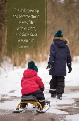 Picture of Word Alive! Weekly Bulletin with Message-Week 52, Letter Size (Package of 25)