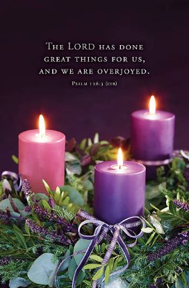 Picture of Word Alive! Weekly Bulletin without Message-Week 50, Legal Size (Package of 25)