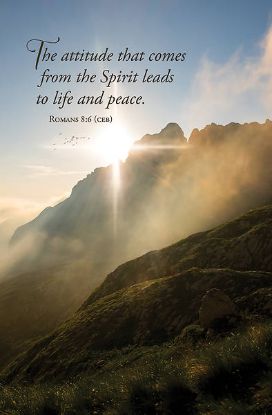 Picture of WordAlive Weekly Bulletin with Message-Week 12, Regular Size (Package of 25)