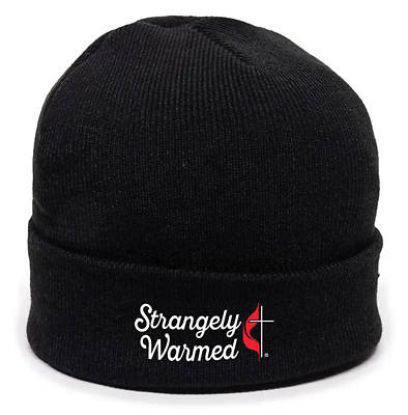 Picture of Strangely Warmed Beanie