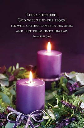 Picture of Word Alive! Weekly Bulletin without Message-Week 49, Letter Size (Package of 25)