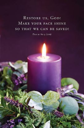 Picture of Word Alive! Weekly Bulletin without Message-Week 48, Letter Size (Package of 25)