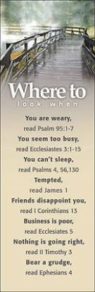 Picture of Where to Look Topics #3 Bookmark