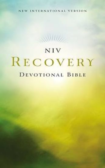 Picture of NIV, Recovery Devotional Bible - eBook [ePub]